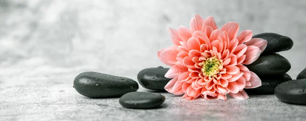 Rolgordijnen zwarte spa stenen en roze bloem op witte marmeren achtergrond. schoonheidsbehandeling concept. banner kopie ruimte © ronstik