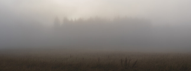 Obraz na płótnie Canvas fog in the forest - meadow in the foreground and the silhouette of the forest in the background in the haze