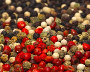 Four various types of pepper