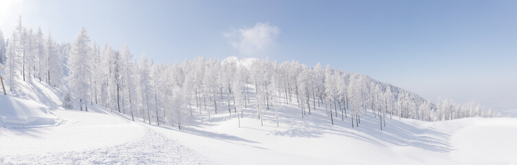 Obraz premium Snowy Wonderland in the Austrian Mountains.