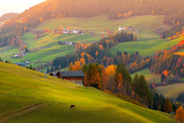 Beautiful autumn colors the  hillside in the village of Santa Maddalena at near Odle Mountains, Funes Valley in the Trentino Alto Adige region, South tyrol - obrazy, fototapety, plakaty