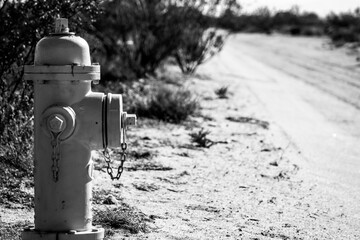 Fototapeta premium desert fire hydrant in black and white low perspective