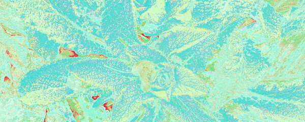 Fototapeta na wymiar Pastel Leaf Texture. Ice Bouquet Canva. Green Woman Design. Blue Stylish Poster. Azure Textured Design. Orange Meditation Photo. Bright Abstract Template.
