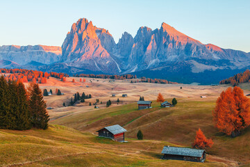 Mountain meadow and wood house Alpe di Siusi or Seiser Alm in the background Langkofel mountain...