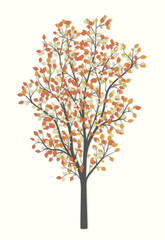 Autumn tree with red and yellow leaves on a light background