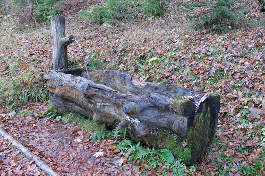 Old Well Made From A Tree Trunk