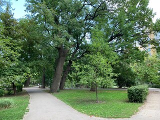 alley in the park