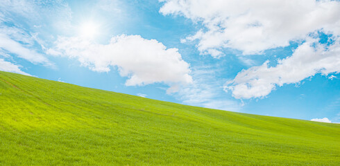 Beautiful landscape with green grass field