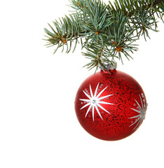 Christmas ball on spruce tree branch.