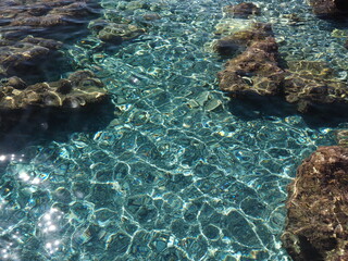 reflections in the water