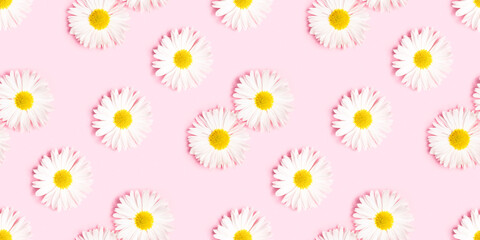 White chrysanthemum seamless pattern. White flowers on a pink background.