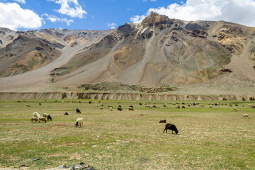 Various views of the Manali Leh Highway