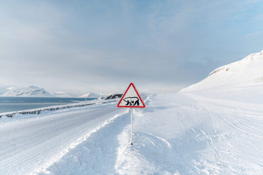 Polar bear warning sign near snowy road