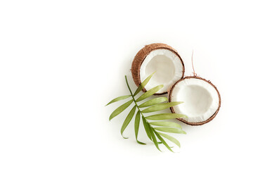 fresh coconut and a green branch of palm trees on a light background. copy space, top view. healthy diet