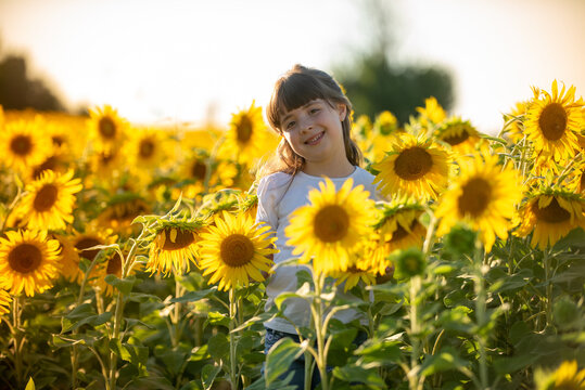 September 2020, Bibbiano, Italy. Sweet little girl poses for a photograph in a sunflower field