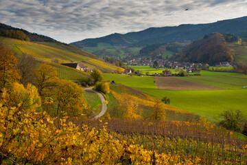 Obraz premium Herbstliches Glottertal im Schwarzwald