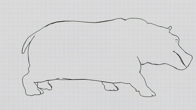 Drawn adult African hippopotamus walking forward on a paper background. Hippo, river-horse walks on a notebook background.