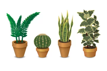 Foto op Plexiglas Cactus in pot A set of potted plants
