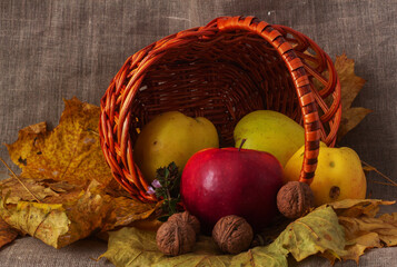 Autumn composition with a basket, apples and walnuts on a background of vintage canvas.
