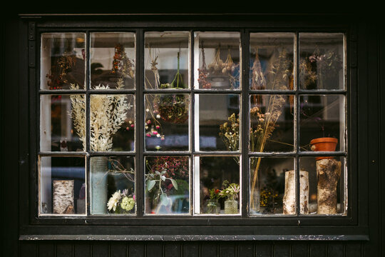 Various dried herbs behind house window