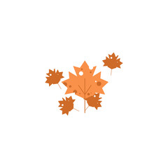 Flat design maple leave. Maple leaves in autumn, isolated on white background