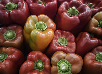 Ecological red peppers in a market