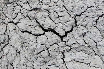 Dry land. Cracks in the soil from drought.