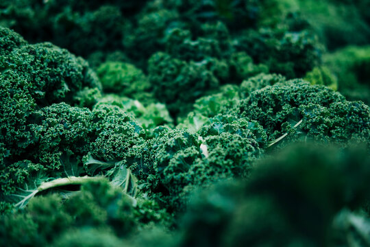 Winter produce at the farmers market