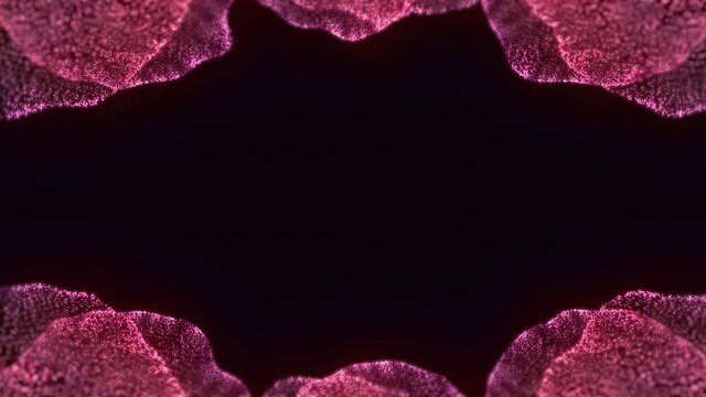 The slow-motion pink top-bottom decor on the black background.