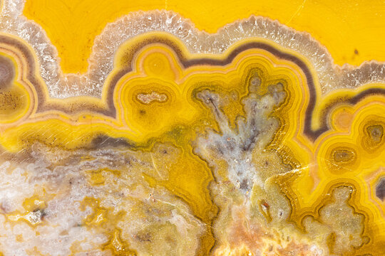 Macrophotograph Of The Detail Of A Kentucky Agate
