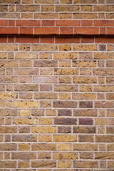 Brick wall detail in many color