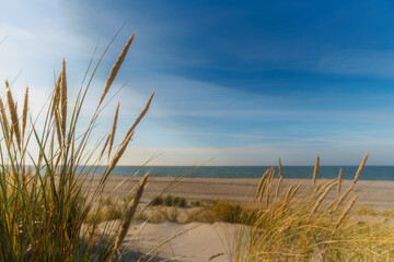 Baltic Sea coast, dunes and sand in winter.
