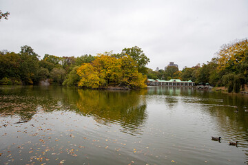 Trees reflect off the Lake in Central Park, New York City