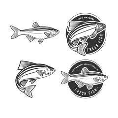 Set of logos on a fishing theme.