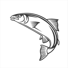 Fish illustration. Fresh seafood template design.