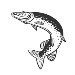 Pike illustration. Fresh seafood template design.