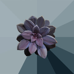 Low poly, geometrical, illustration of a violet/purple succulent with a background
