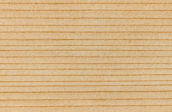Wood Cross Section Texture Background