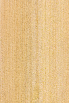 Wood Cross Section Texture Background