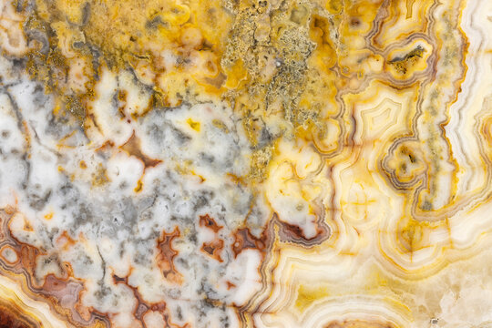 Macrophotographic Detail Of A Crazy Lace Agate From Western Australia