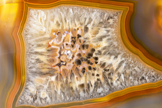 Condor Agate