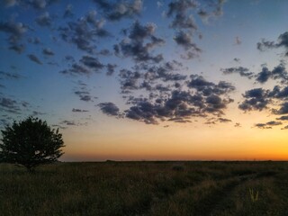 sunset over the field