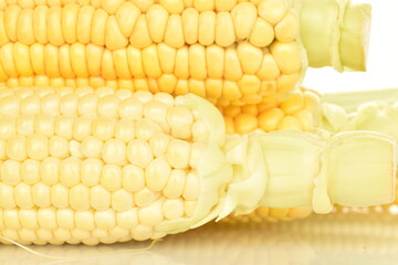 Ripe corn cobs, close-up.