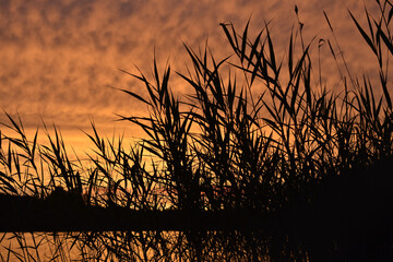 bright orange sunset on the lake