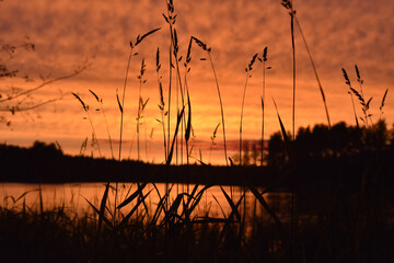 bright orange sunset on the lake