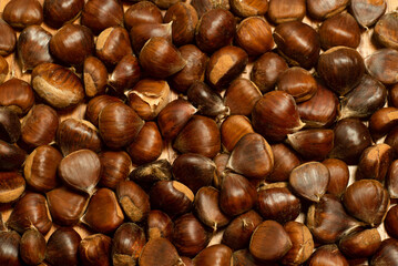 autumn details. chestnuts with shell