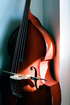 Double bass with sunlight on it