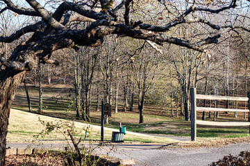 autumn in the park