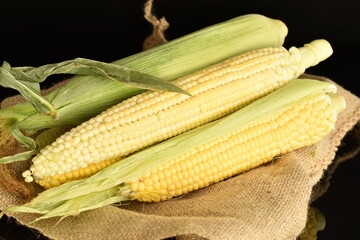 Ripe ears of corn, close-up, on a black background.