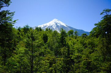 Osorno Volcano snow capped peak view over green trees forest against clear blue sky. Los Lagos,...